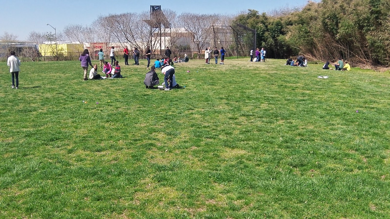 Learning with Experience What to do with leftover Easter Eggs?