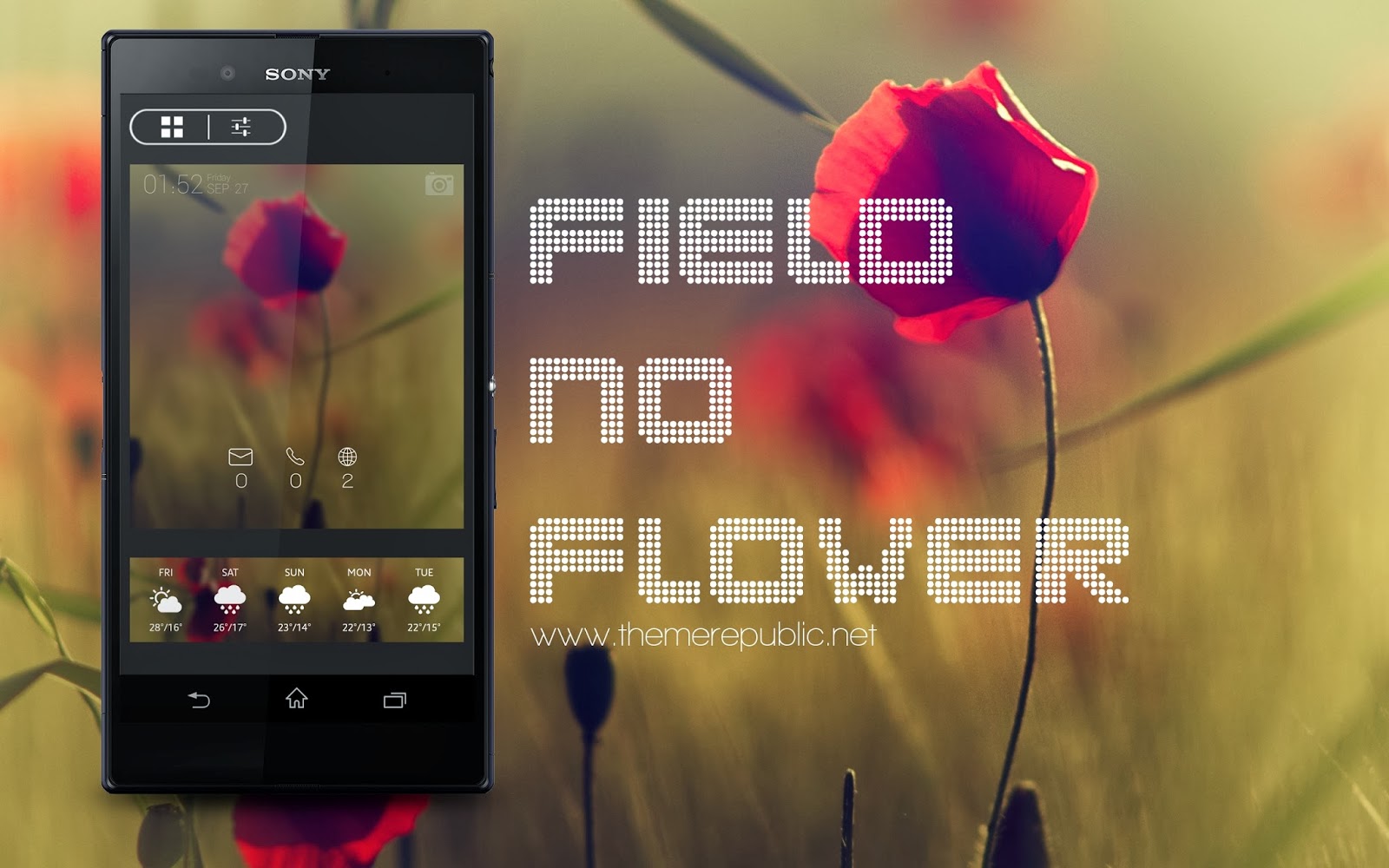 Field+No+Flower.jpg