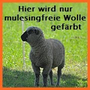 Info klick Bild