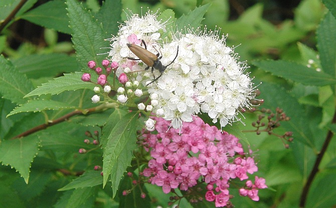 Jahreszeitenbriefe Page 9 Chan 38911623 Rssing Com