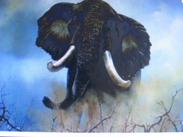 Garamba National Park Gets $2 Million Donation Garamba National Park Gets $2 Million Donation