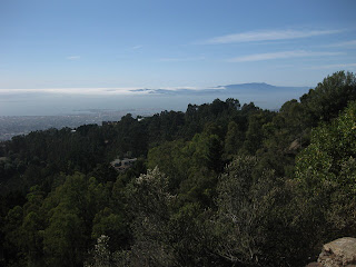 View of Mt. Tamalpais and fog obscuring the Golden Gate