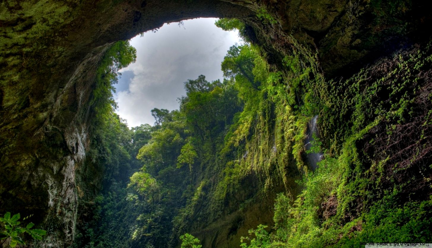 Rain Forest HD desktop wallpaper Widescreen High Definition Rain Forest HD desktop wallpaper Widescreen High Definition