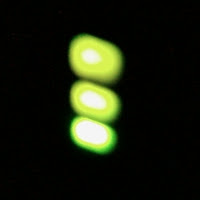 smadav antivirus - TELECHARGER GRATUIT
