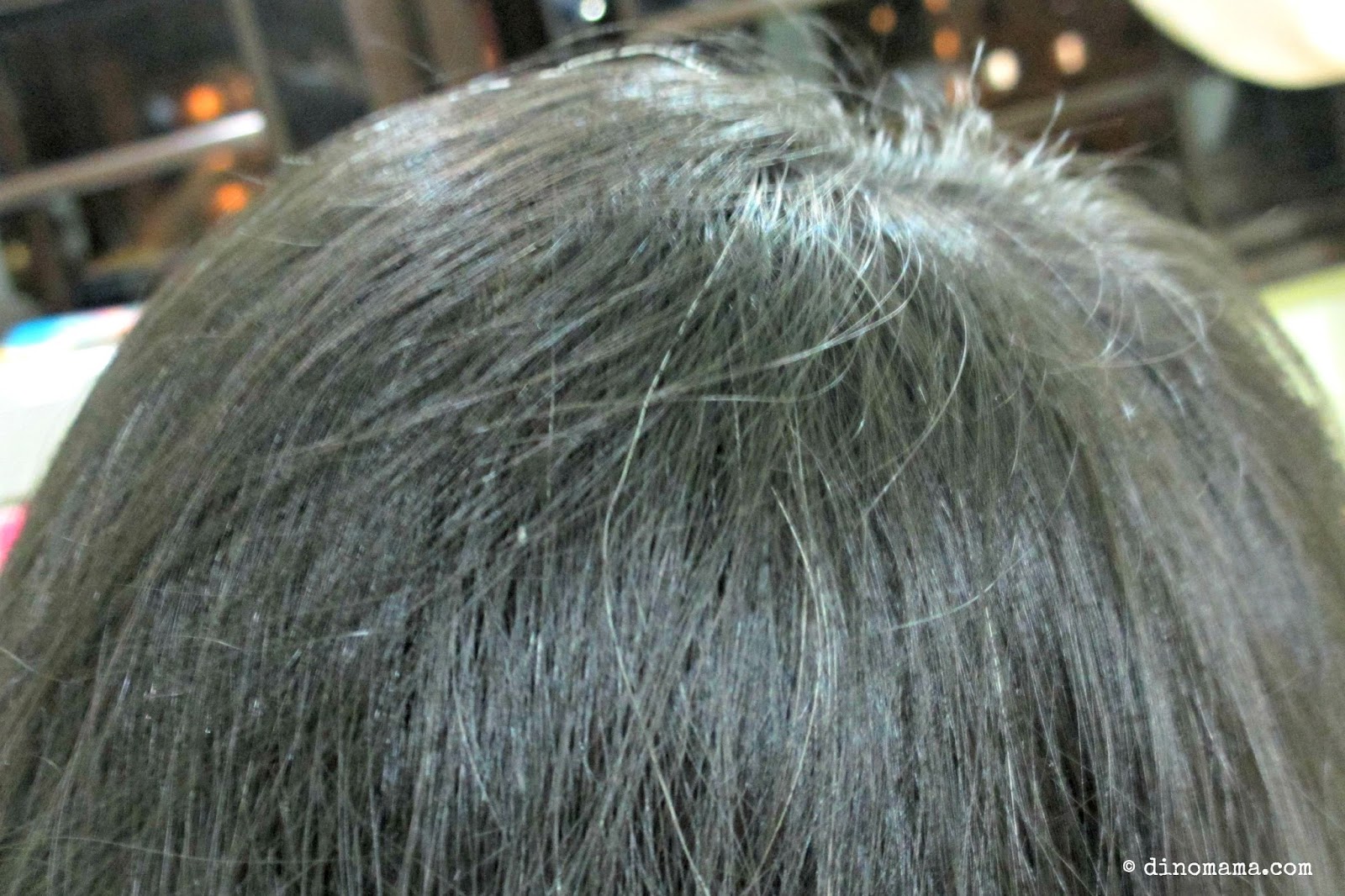 Liese Blauné Treatment Cream Color - Best DIY Hair Dye for Gray/Graying Hair  EVER! ~ We are the DinoFamily 我們是恐龍家族 | Singapore Parenting Blog