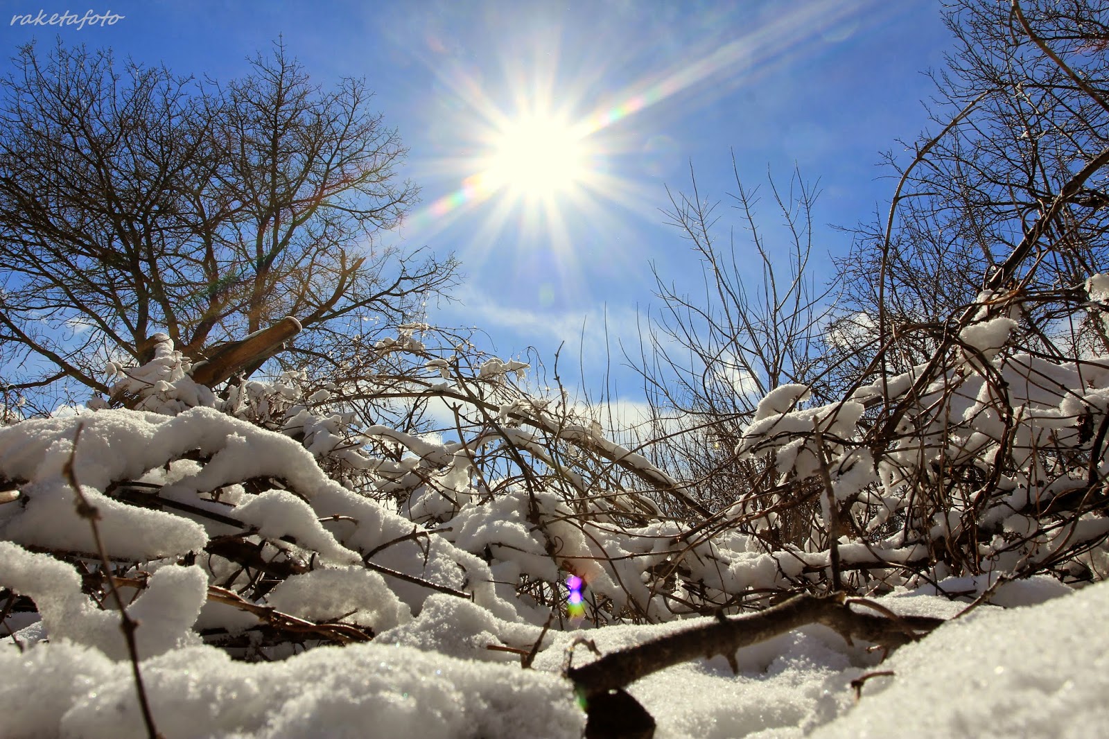 the milky way early bird astronomy