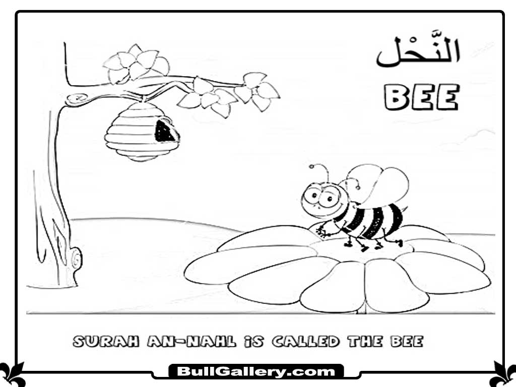 Islamic Animals Kids Coloring Pages Bull Gallery