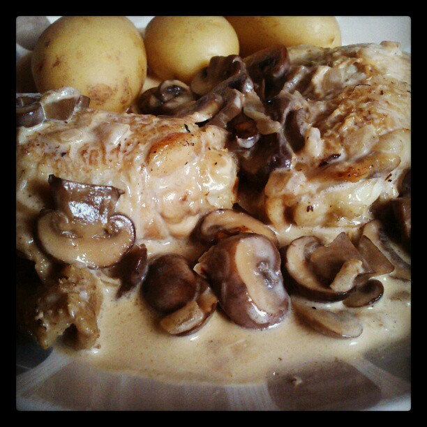 Jen's Place Panfried chicken in a mushroom sauce