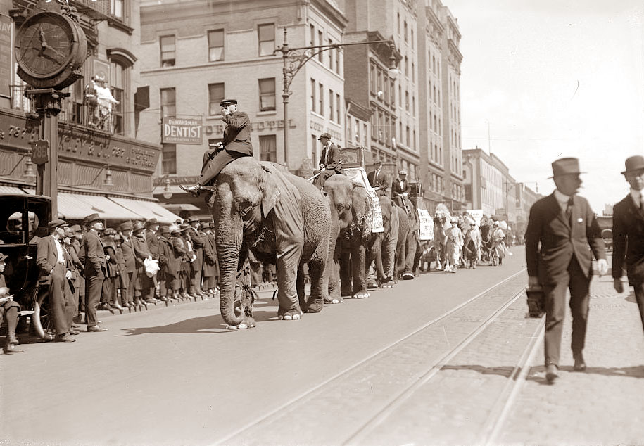Awesome Vintage Circus Photographs vintage everyday