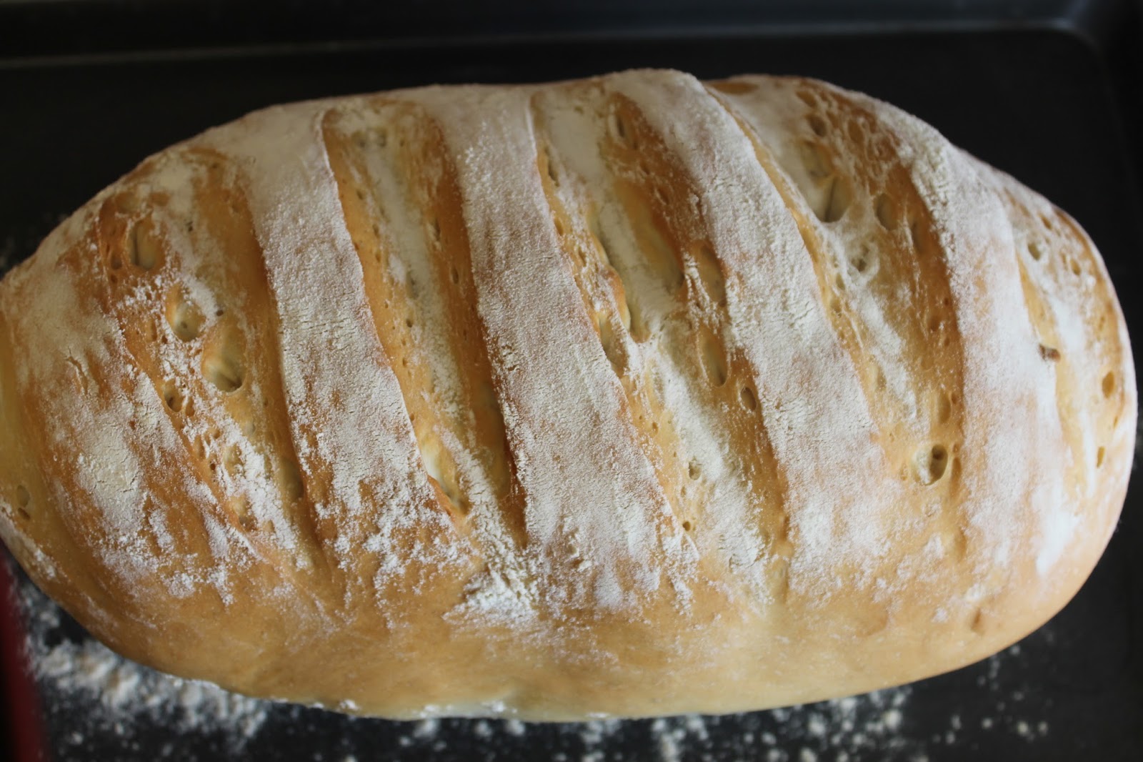 We Don't Eat Anything With A Face Easy Basic Bread Recipe for the Breadmaker