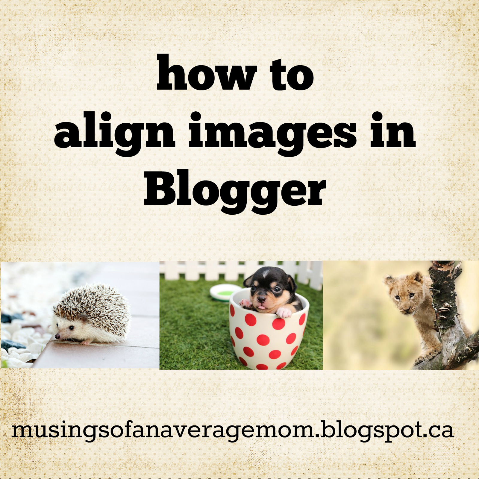 how to align images in blogger