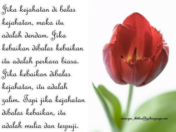 Mujahidah Memburu Syahidah Apabila Diri Dihina