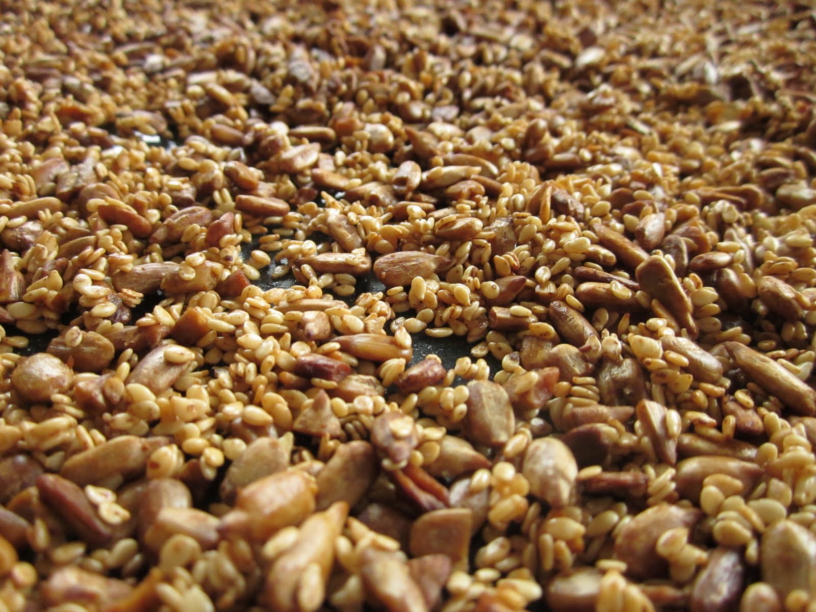Fiddling thru Fiddlehead Salad Seeds