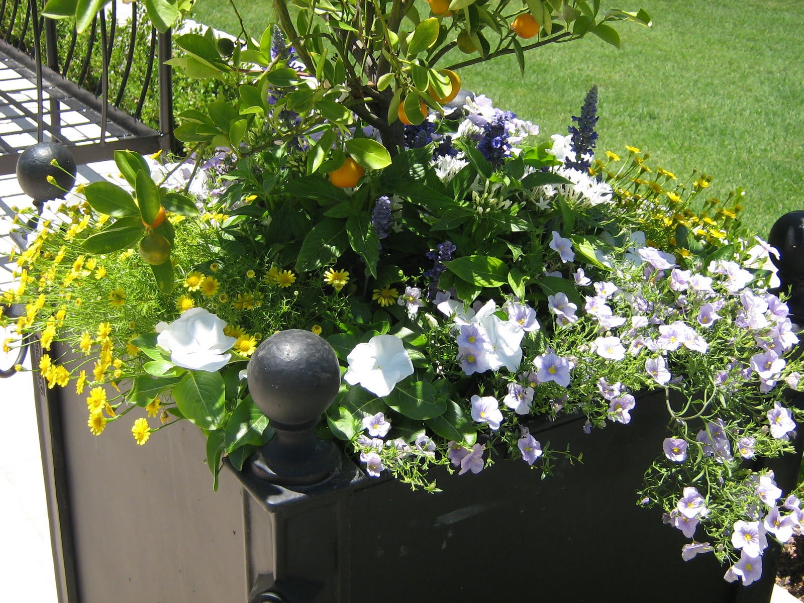 Parry Design Flower Beds and Pots