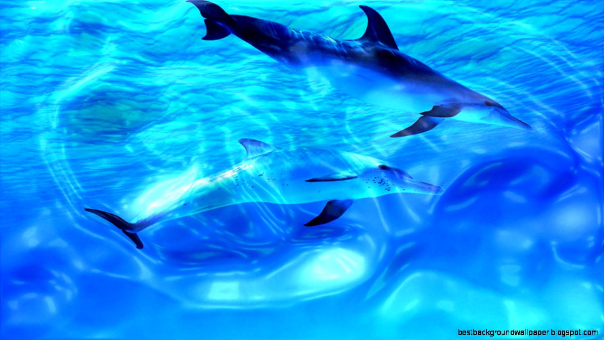 Windows 7 Live Wallpapers and Background Windows 7 Live Wallpapers and Background