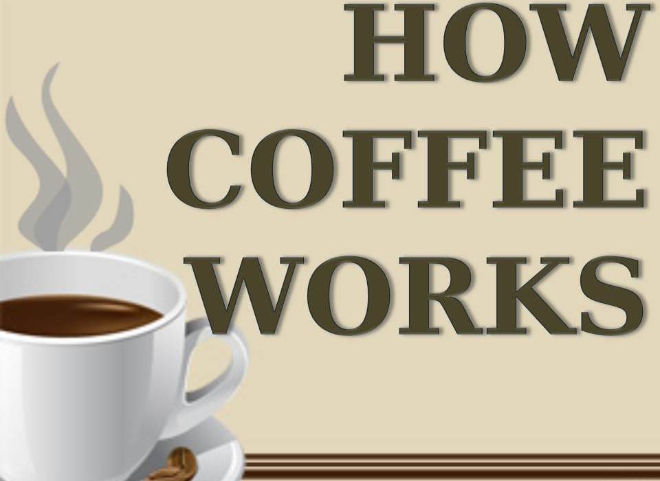Coffee Makers & More How Does Coffee Work?