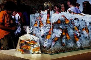 Funny Beer Pictures