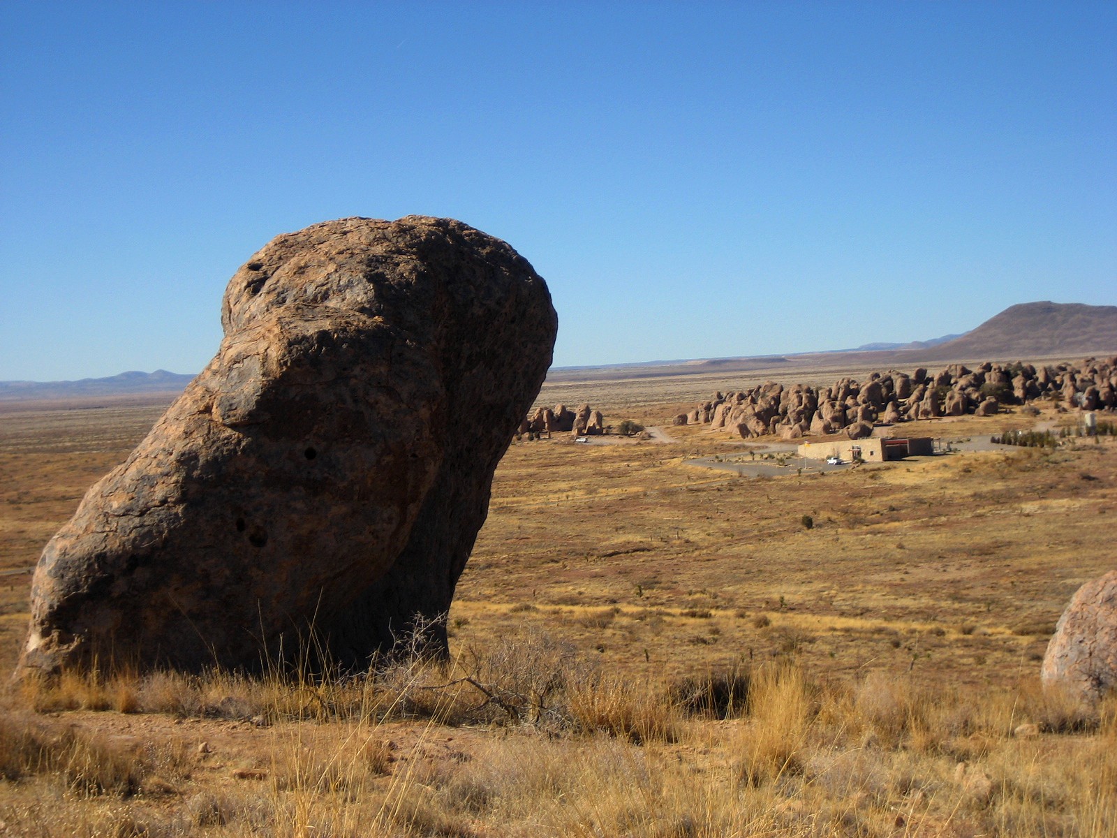 Living Rootless City of Rocks State Park, New Mexico