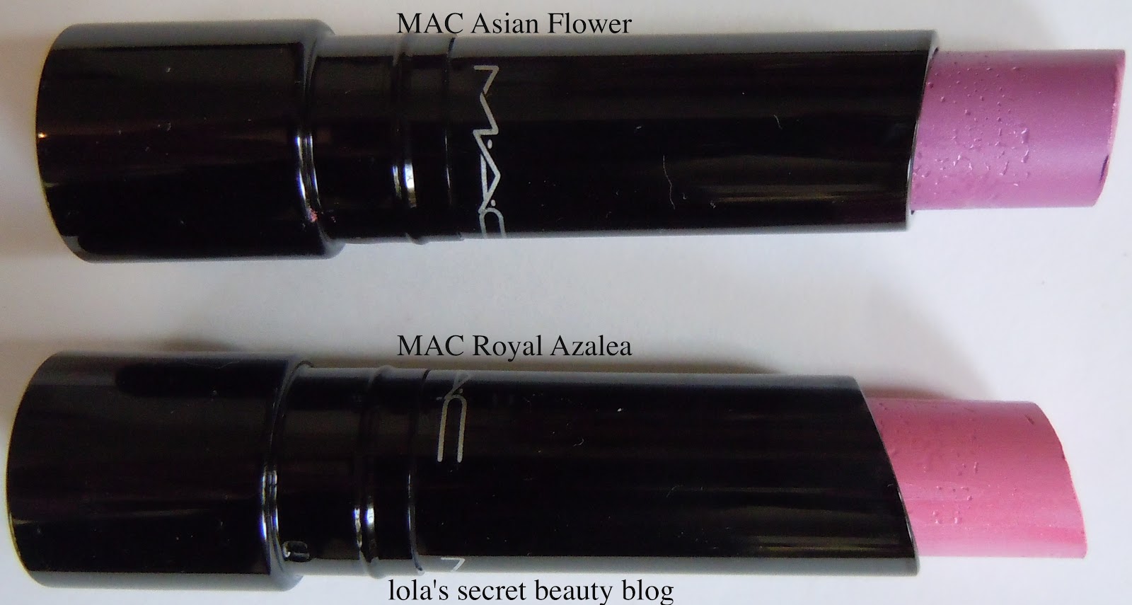 Bonsai Beginnings Satsuki Blooming