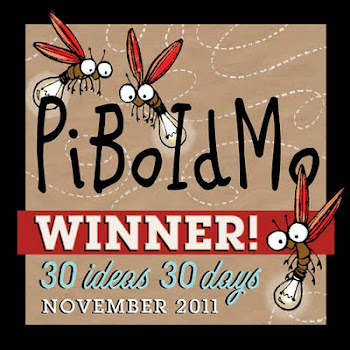PiBoIdMo Winner
