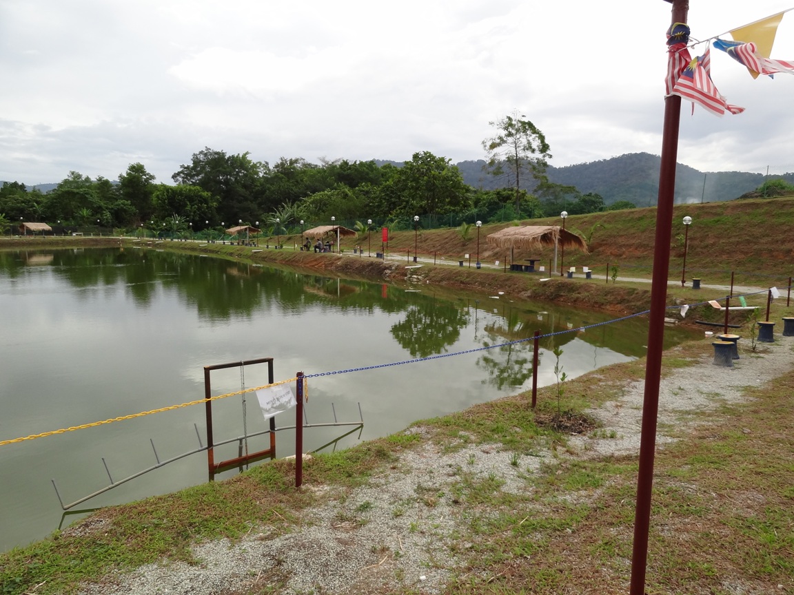 Fishing Spots in Kuala Lumpur & Selangor Fff village freshwater