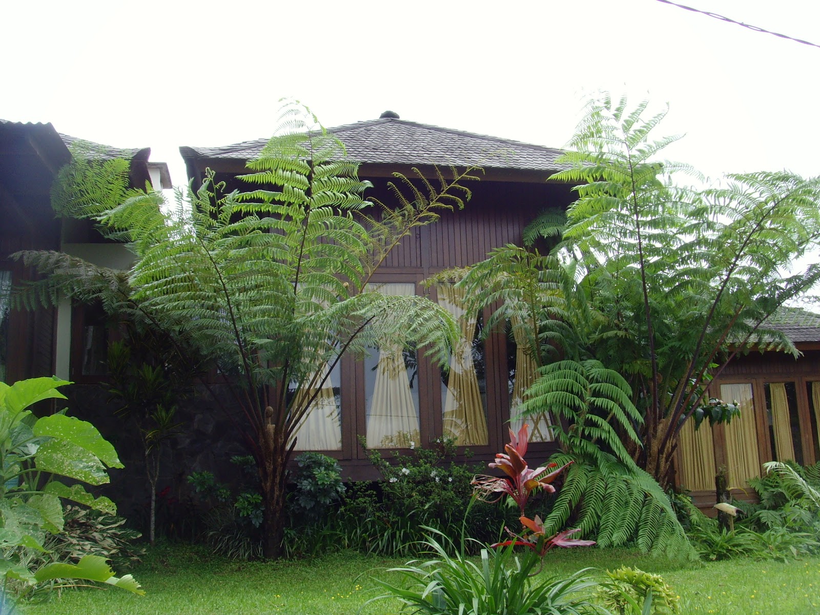 SEWA VILLA LEMBANG BANDUNG: VILLA NATURAL HILL LEMBANG ...