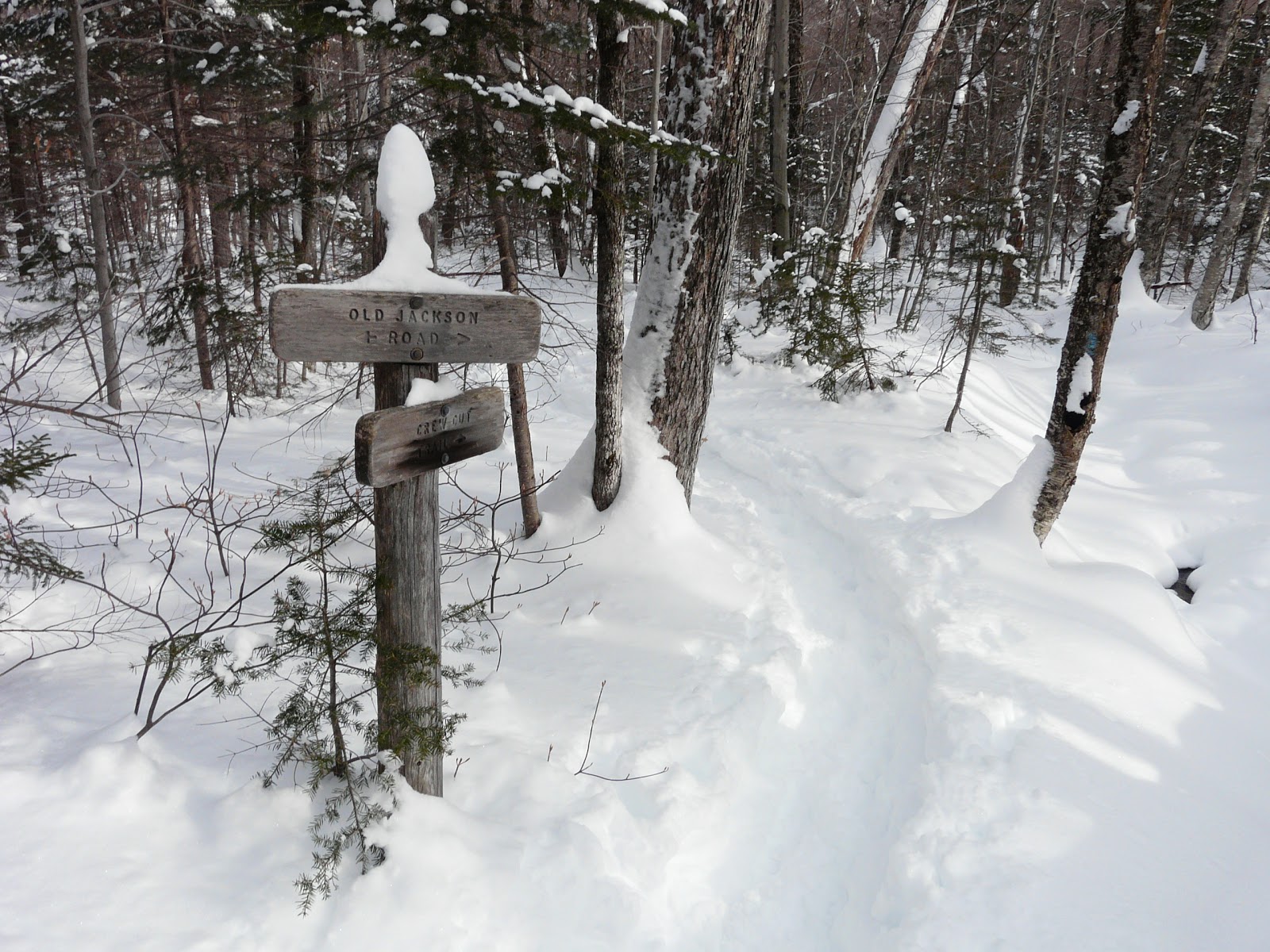The Freelance Adventurer A White Mountain Snowshoe