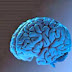 فى ضوء القران.... كيف يتركب المخ البشرى؟ 