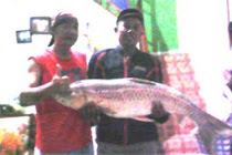 Mancing nggo tempe mendoan