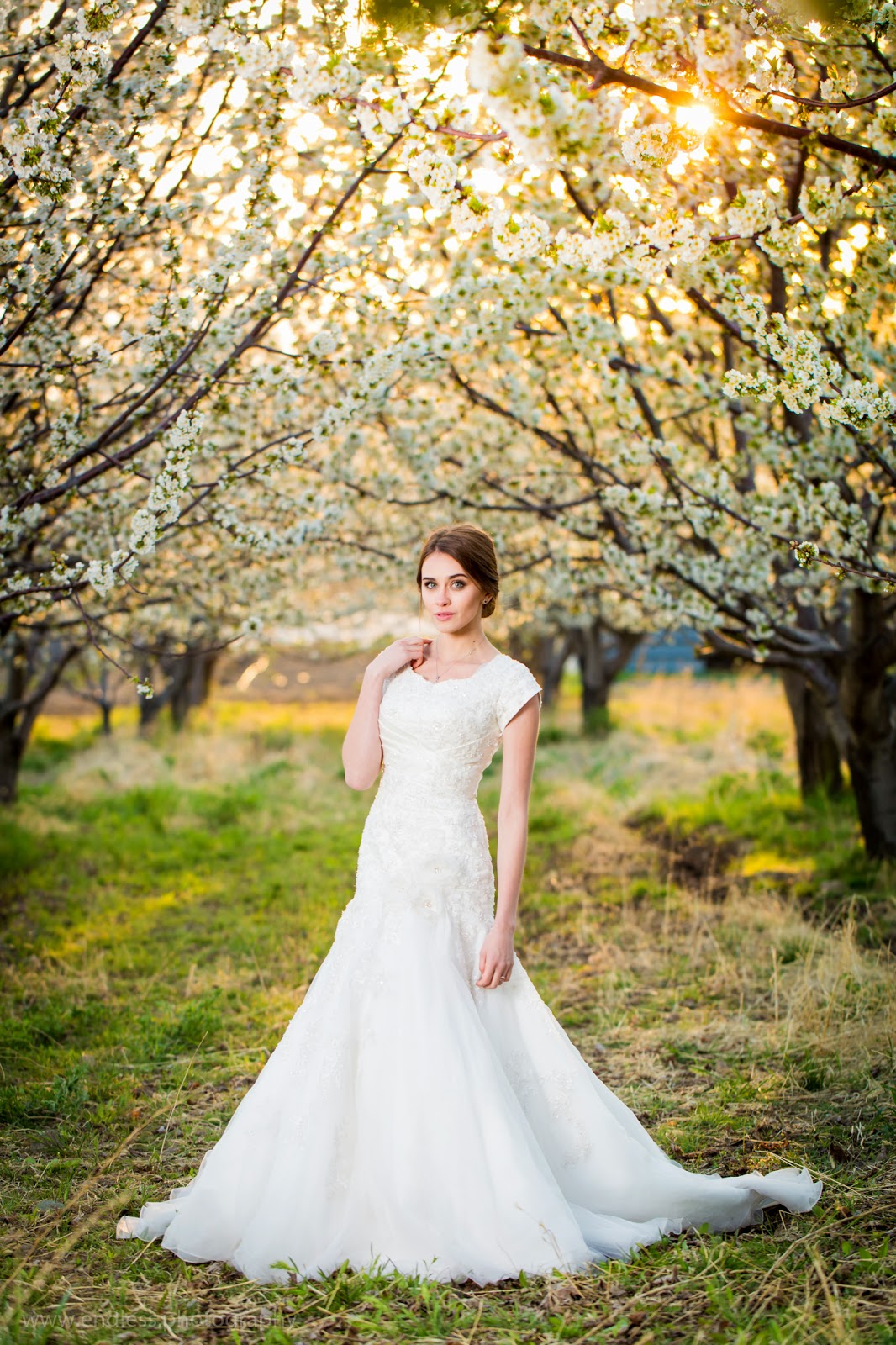 Logan Utah Photographers, Wedding Photography, Weddings, Bridals, Spring, Orchard, Blossoms, Couple, Wedding Dress, Logan Utah, Endless Photography