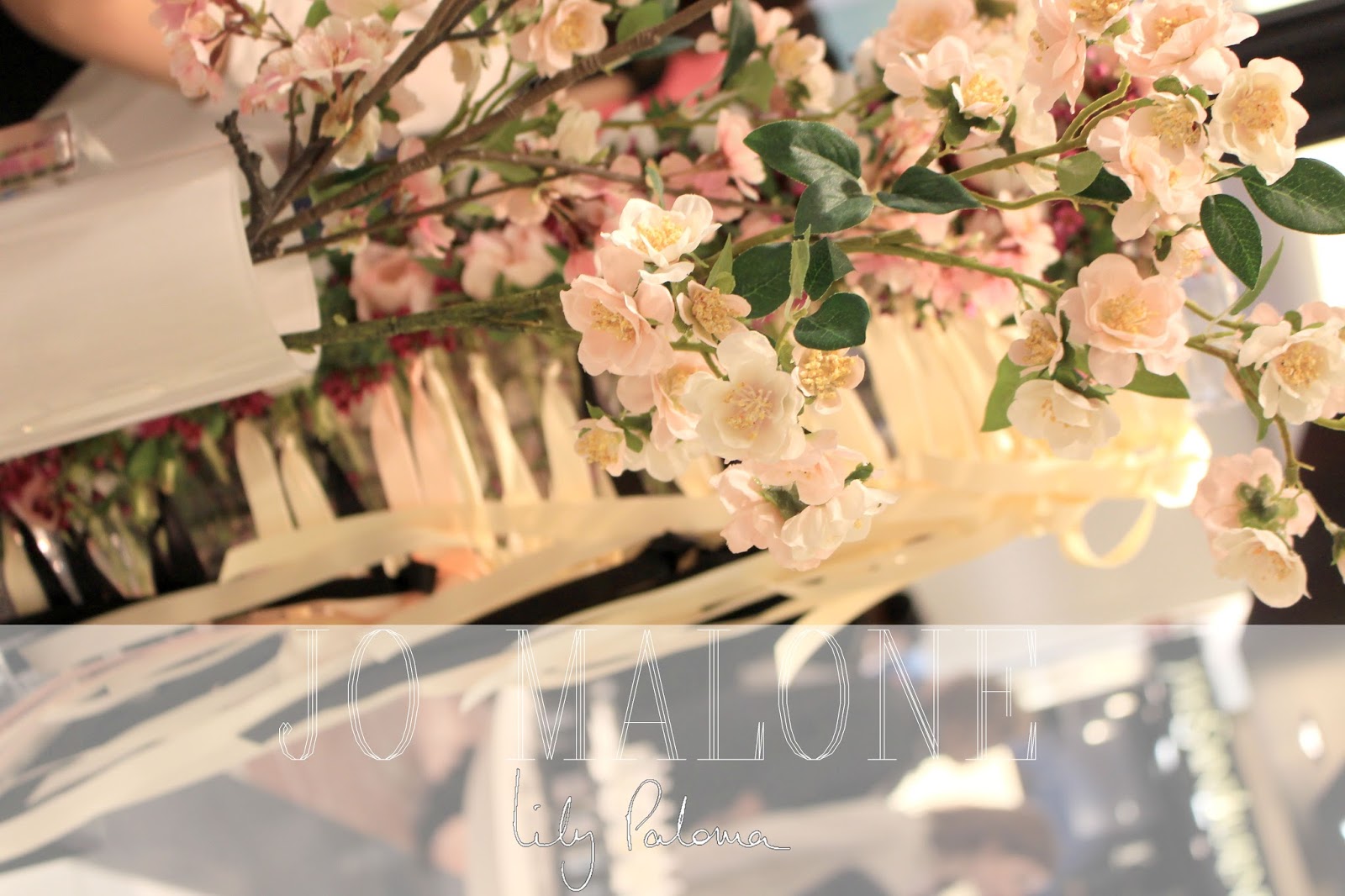 Roses Du Jardin Cheneland Spiree De Vanhoutte