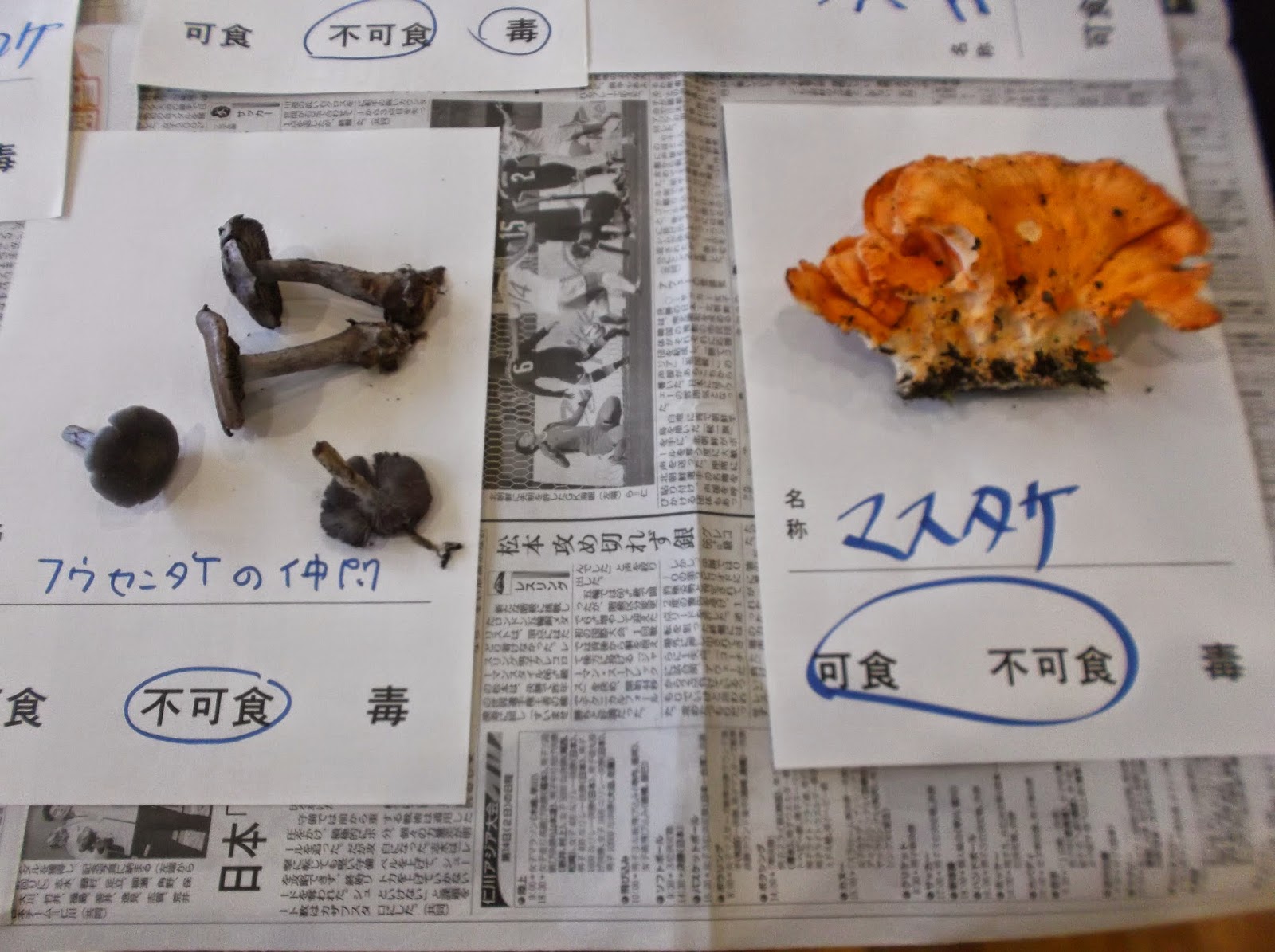Hiroyuki S Blog On Japanese Cooking Mushroom Workshop Part 2 きのこ講習会 パート２
