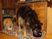 Respect is a twoway thing and must be earnedfood is a great place to . (dsc )
