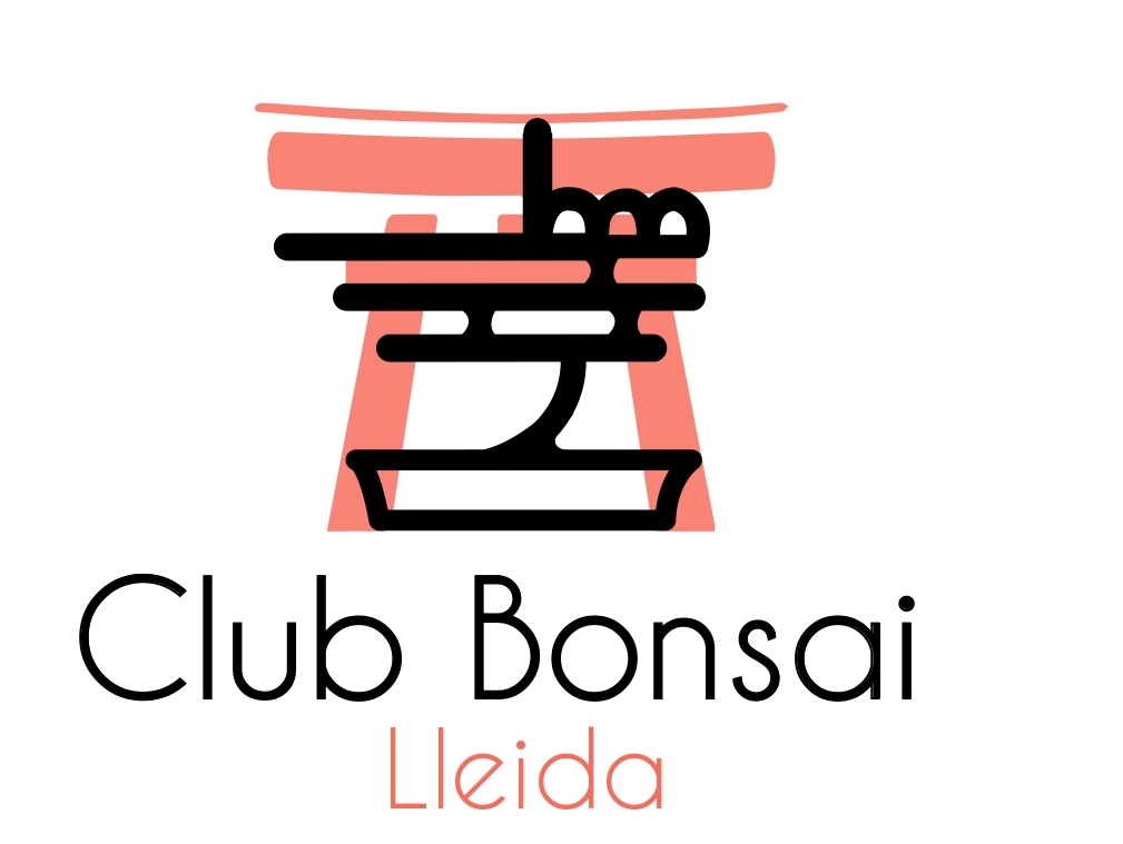 WEB CLUB BONSAI LLEIDA
