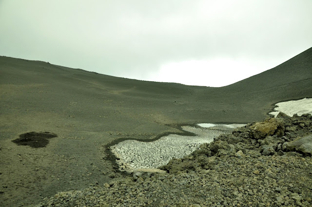 _DSC0989.JPG