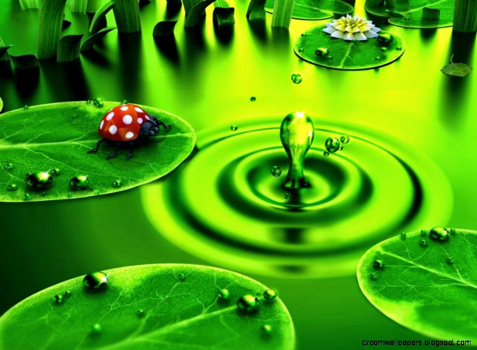 Nature 3D Wallpaper HD for Desktop Nature 3D Wallpaper HD for Desktop