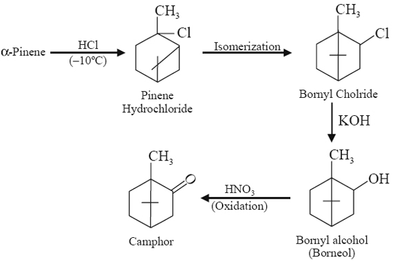 synthetic camphor