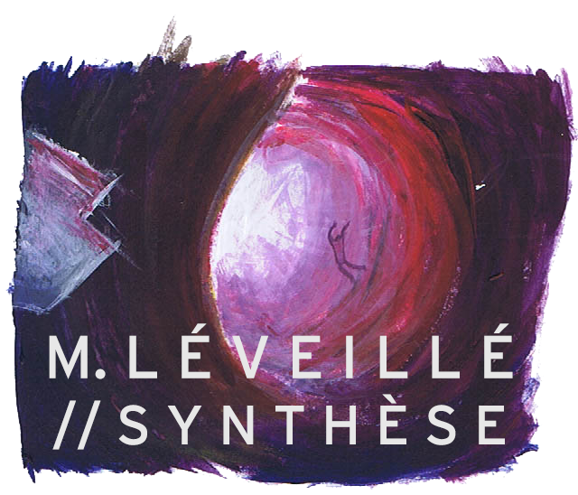 M . L É V E I L L É // S Y N T H È S E