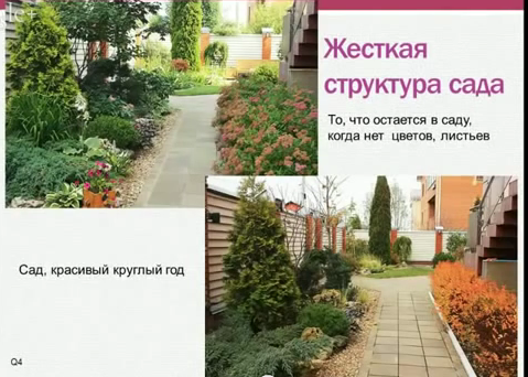Купить саженцы Купить оправу для очков. Очковые оправы интернет-магазин