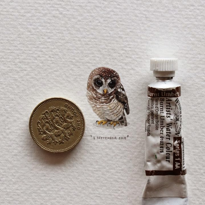 05-Owl-Lorraine-Loots-Miniature-Paintings-Commemorating-Special-Occasions-www-designstack-co