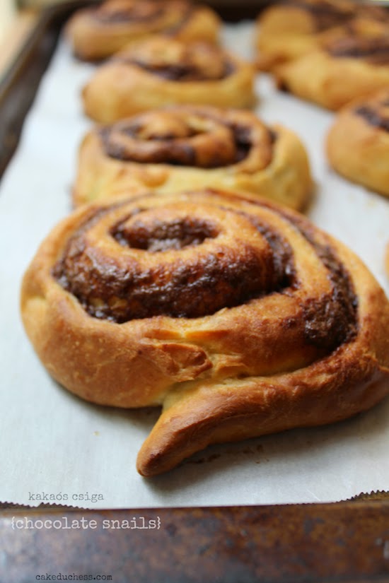 Foodwanderings Baking with Heritage Kakaós Csiga {Chocolate Snails