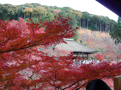 Ảnh Đẹp - Lãng Mạn Mùa Thu Kyoto Nhật Bản Anh+Kyoyo+Nhat+Ban