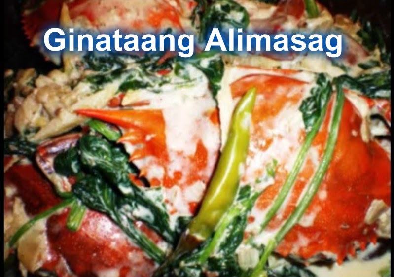 pica food list pica food list