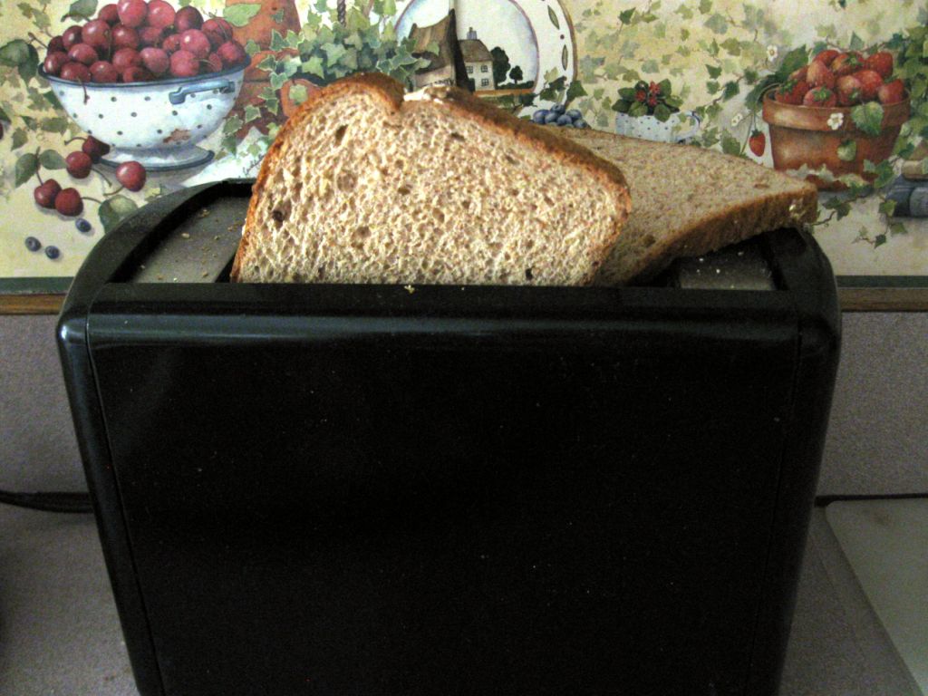 We Are The World Toast Four Slices in a TwoSlice Toaster A Morse