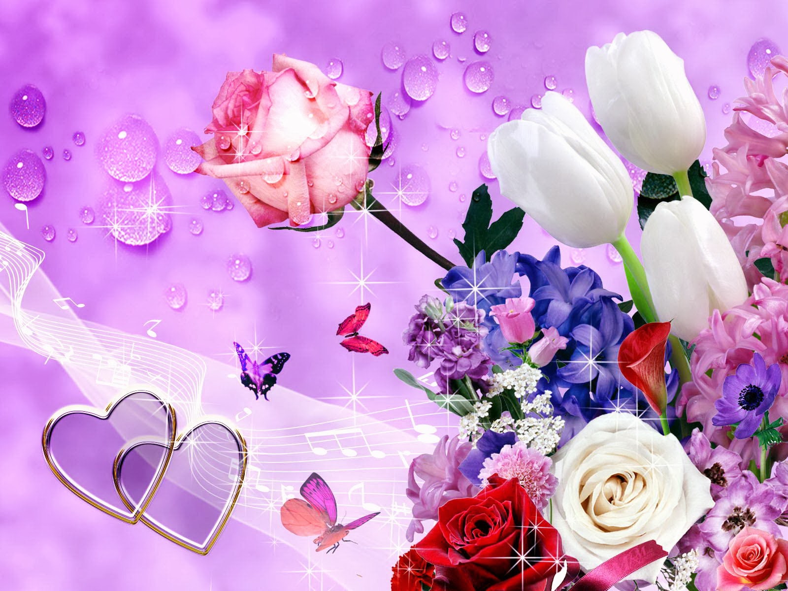 rose flowers wallpapers