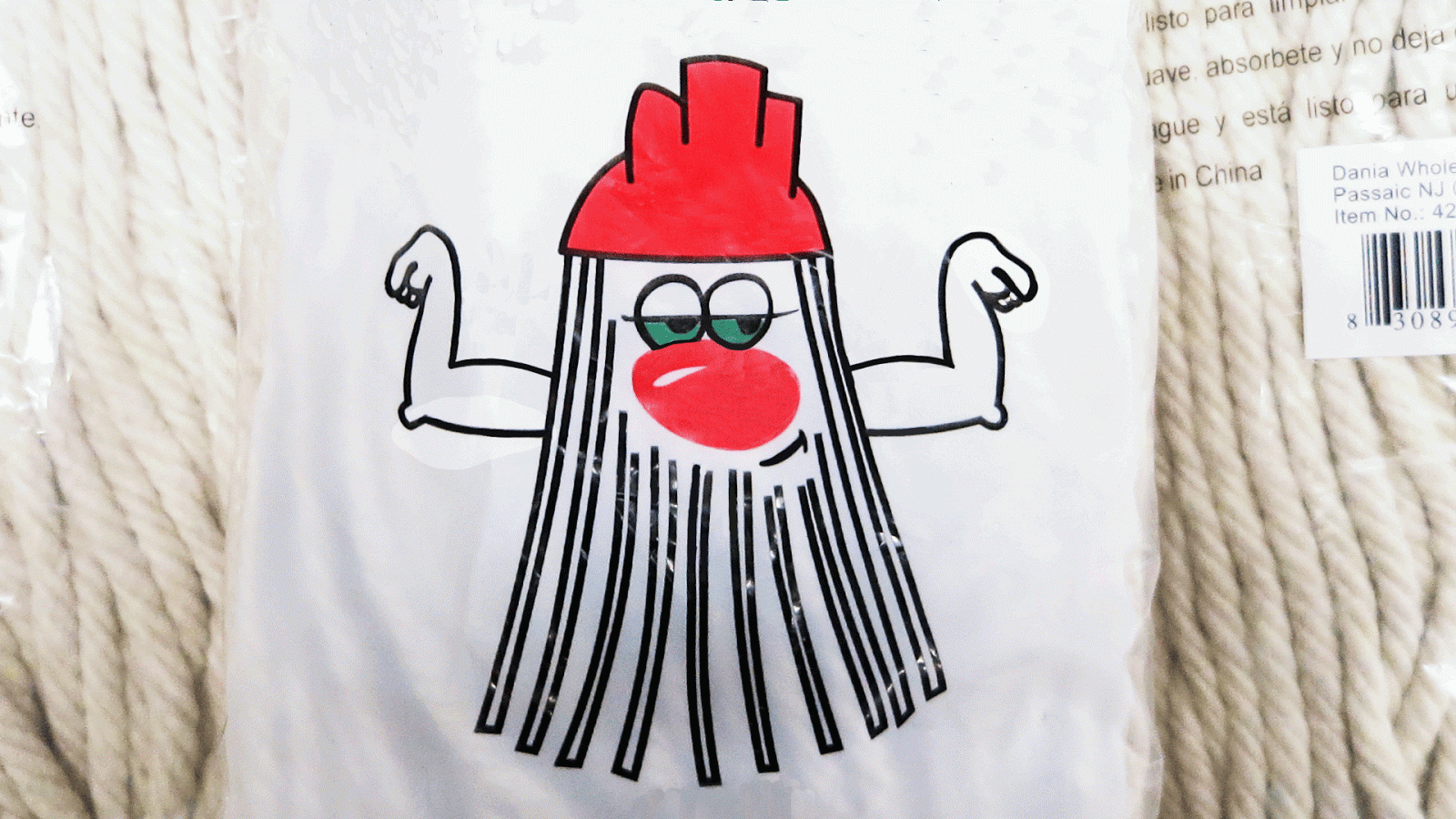 Frankie's Apartment Kirk the Mop