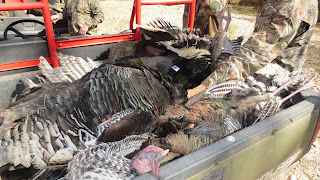 Gould's+Turkey+Hunt+with+Colburn+and+Scott+Outfitters+14.JPG