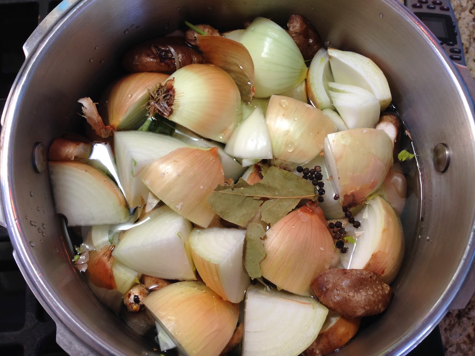 Cooking with SAHD Pressure Cooker Vegetable Stock