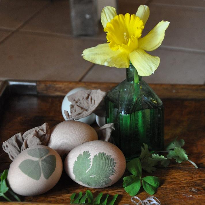 DIY Botanical Easter Eggs! Community Chickens