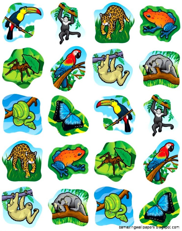 Carson Dellosa Rainforest Animals Shape Stickers Carson Dellosa Rainforest Animals Shape Stickers